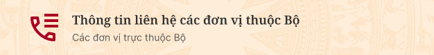 Quảng cáo #43