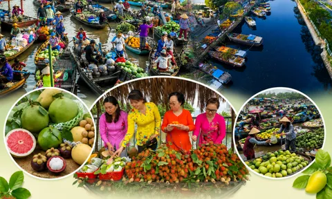 Tuần lễ trái cây “trên bến dưới thuyền”: Đưa đặc sản miền Tây đến gần người tiêu dùng