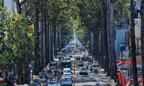 TP.HCM: Ưu tiên giữ nguyên các tên đường có giá trị lịch sử, văn hóa đã gắn bó lâu dài với cộng đồng