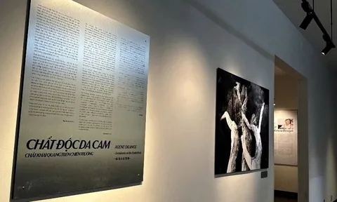 Bảo tàng Chứng tích Chiến tranh mở lại 3 không gian trưng bày từ ngày 1/9